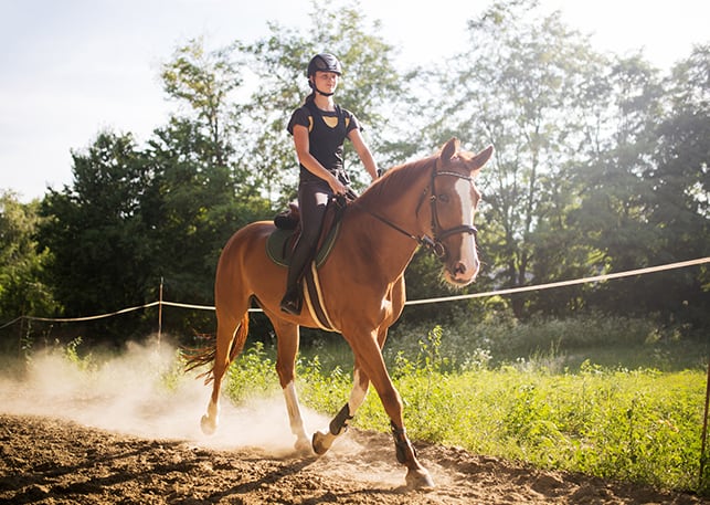 Cut resistant fabric for horse riding